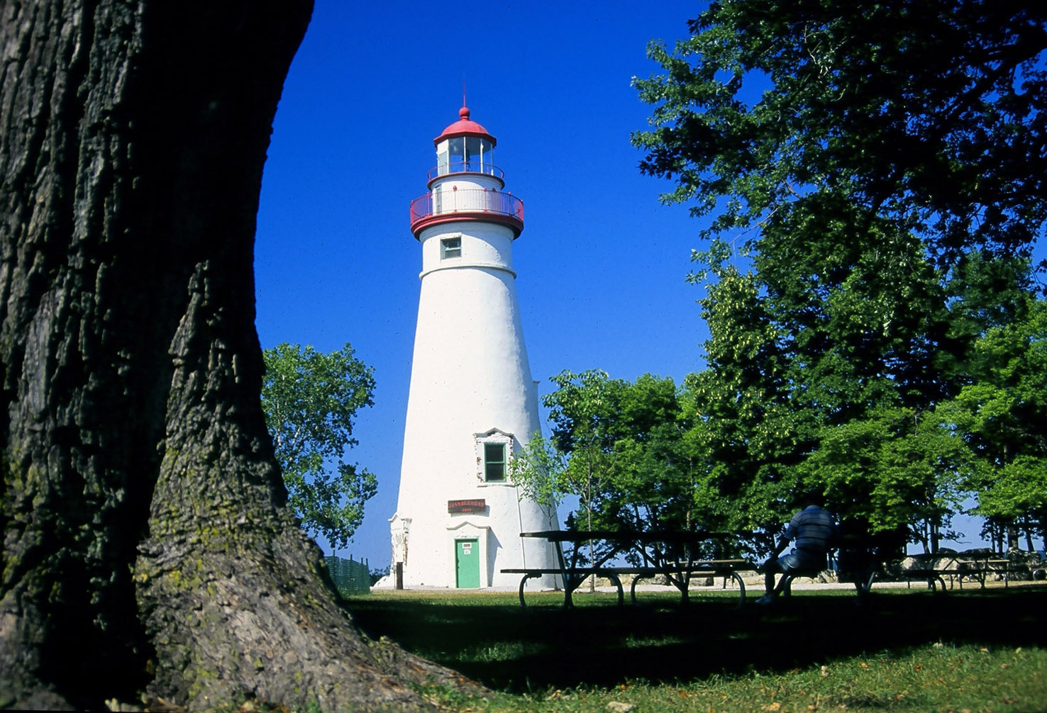 The white tower and red lantern of Marblehead Lighthouse stand among trees beside picnic tables.